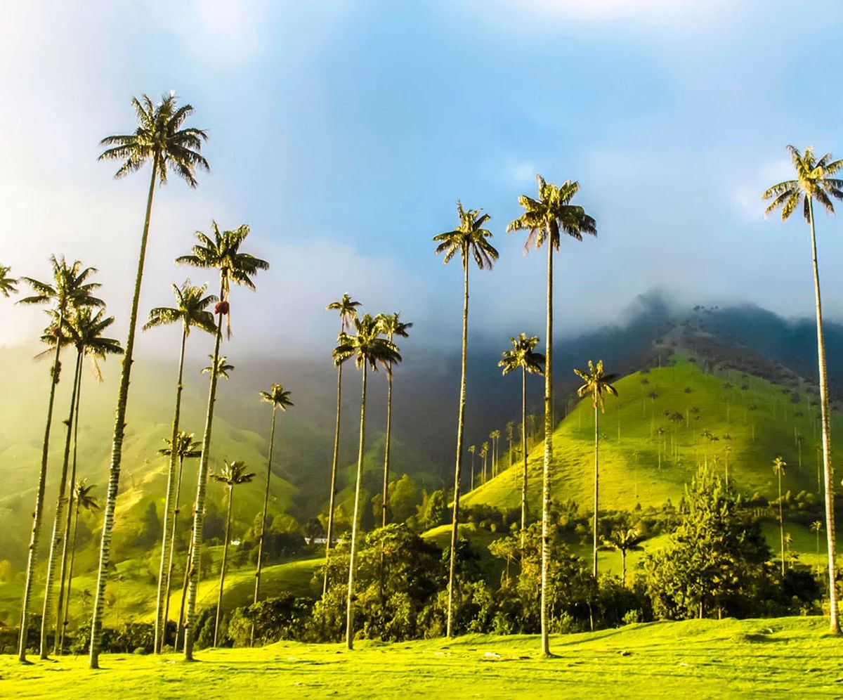 Quindío y Antioquia