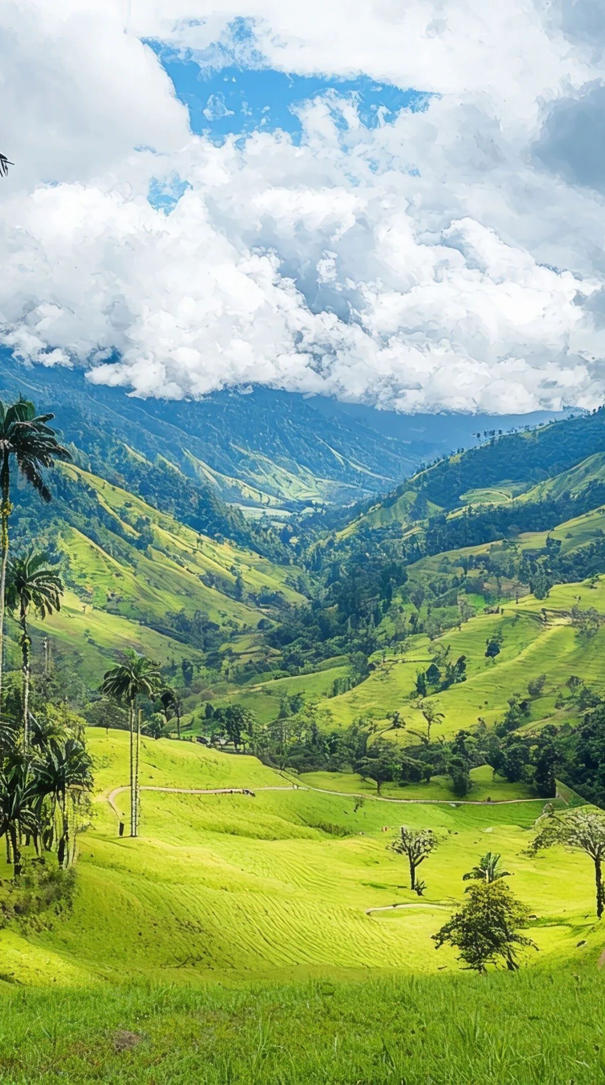 Quindío y Cali